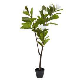 SPINDEL planta H120 grønt/hvítt magnolia